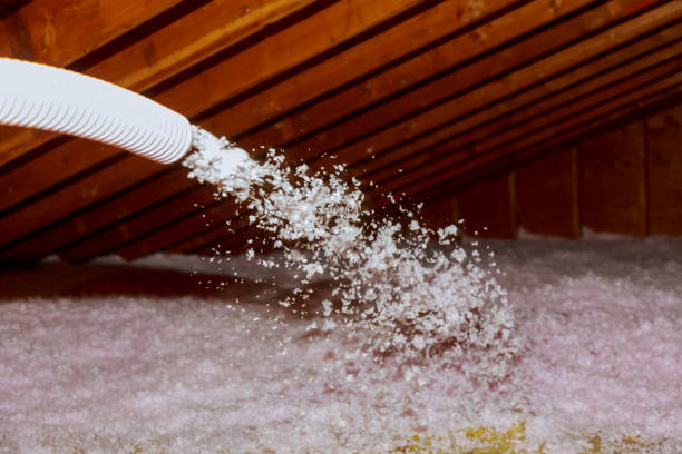 Best Commercial Insulation in Cave Creek, AZ