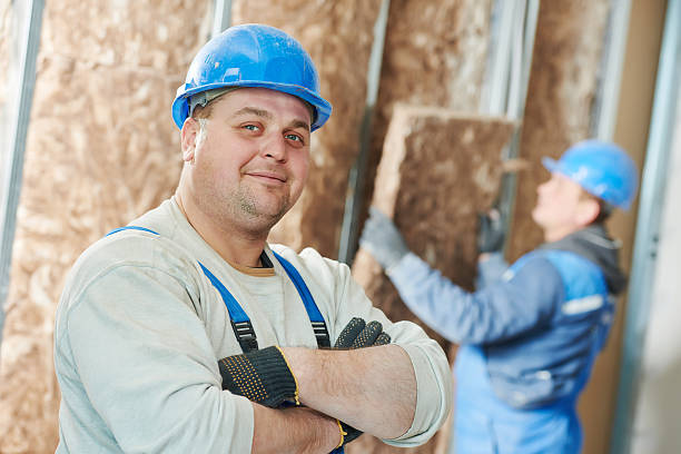 Best Insulation Installation Services in Cave Creek, AZ